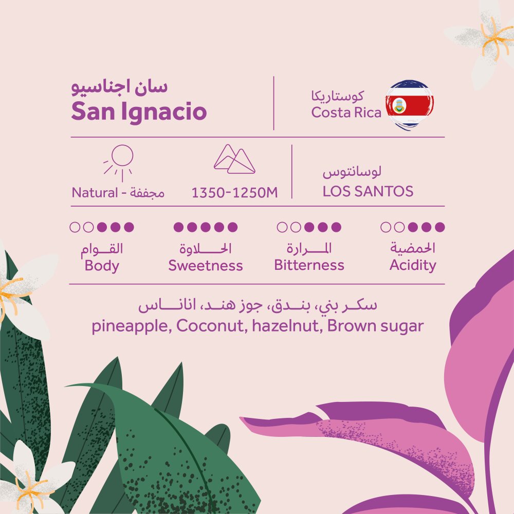 Costa Rica - San Ignacio |BREEHANT ROASTERY