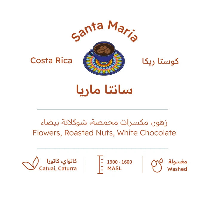 COSTA RICA SANTA MARIA WASHED| The Roasting House