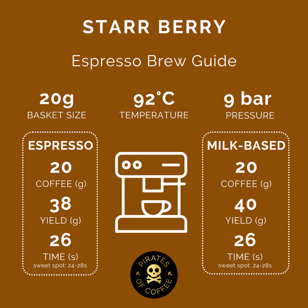 STARR BERRY: RWANDA ANAEROBIC NATURAL| pirates of coffee
