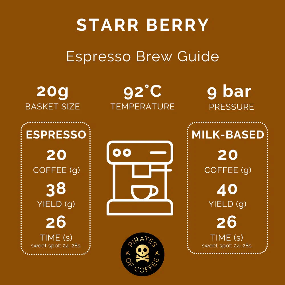 STARR BERRY: RWANDA ANAEROBIC NATURAL| pirates of coffee