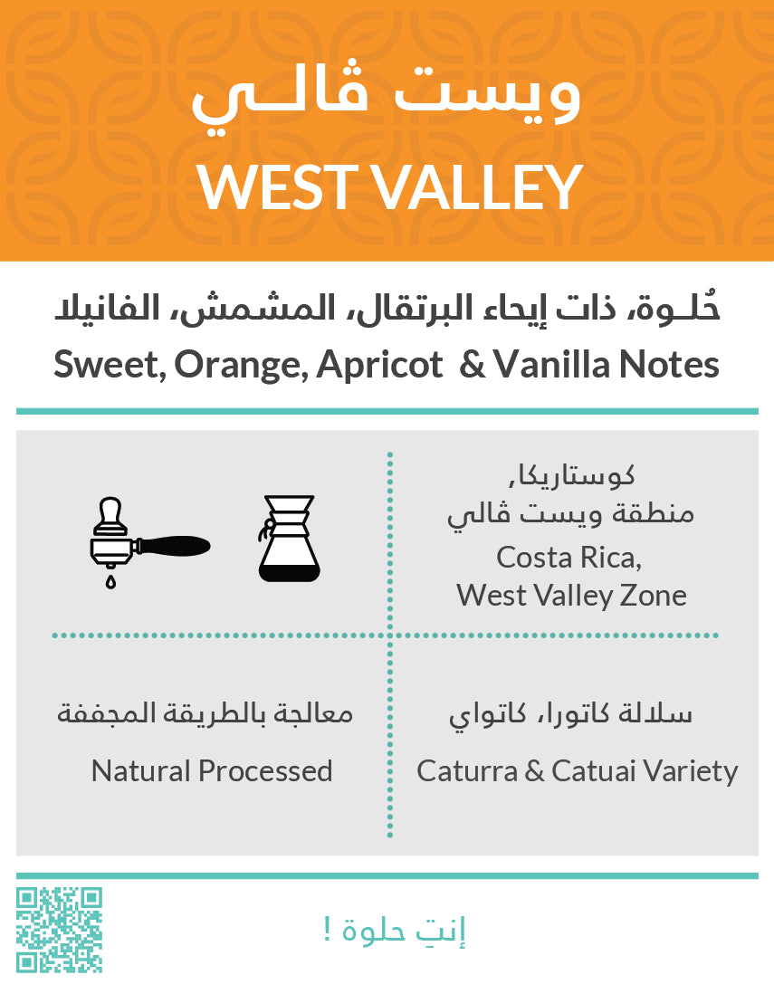 WEST VALLEY - Costa Rica |Kiffa Roastery