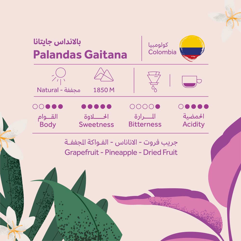Colombia - Plandas |BREEHANT ROASTERY