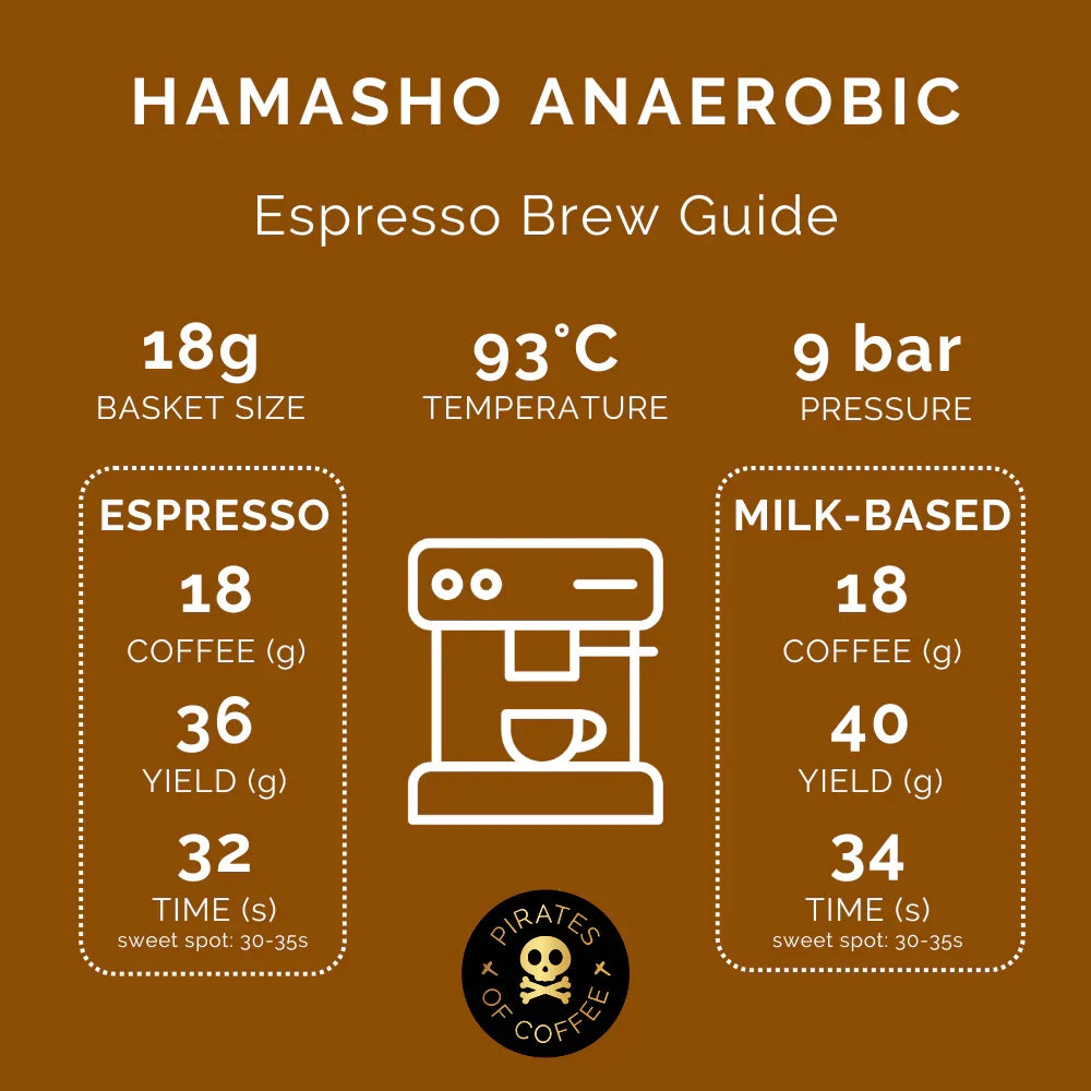 DAYE BENSA HAMASHO ANAEROBIC ESPRESSO: ETHIOPIA ANAEROBIC NATURAL | pirates of coffee