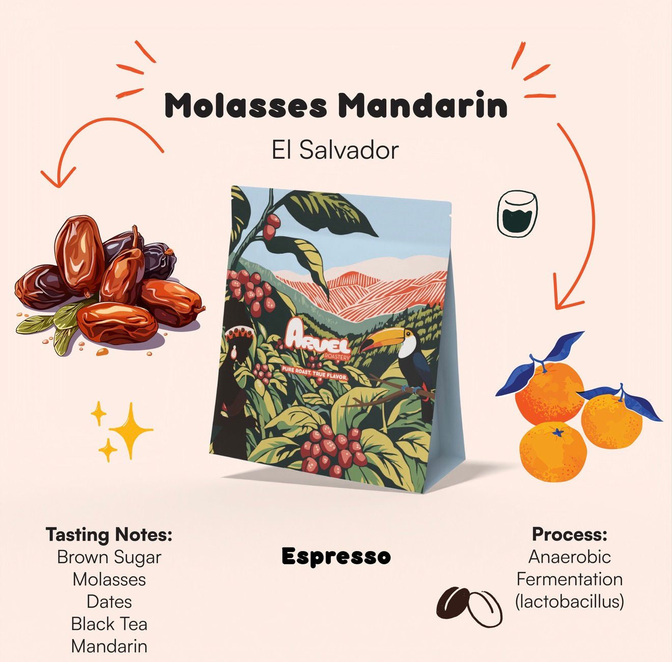 Molasses Mandarin | Arvel Roastery
