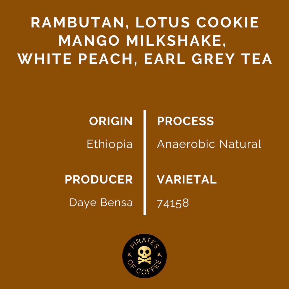 DAYE BENSA HAMASHO ANAEROBIC ESPRESSO: ETHIOPIA ANAEROBIC NATURAL | pirates of coffee