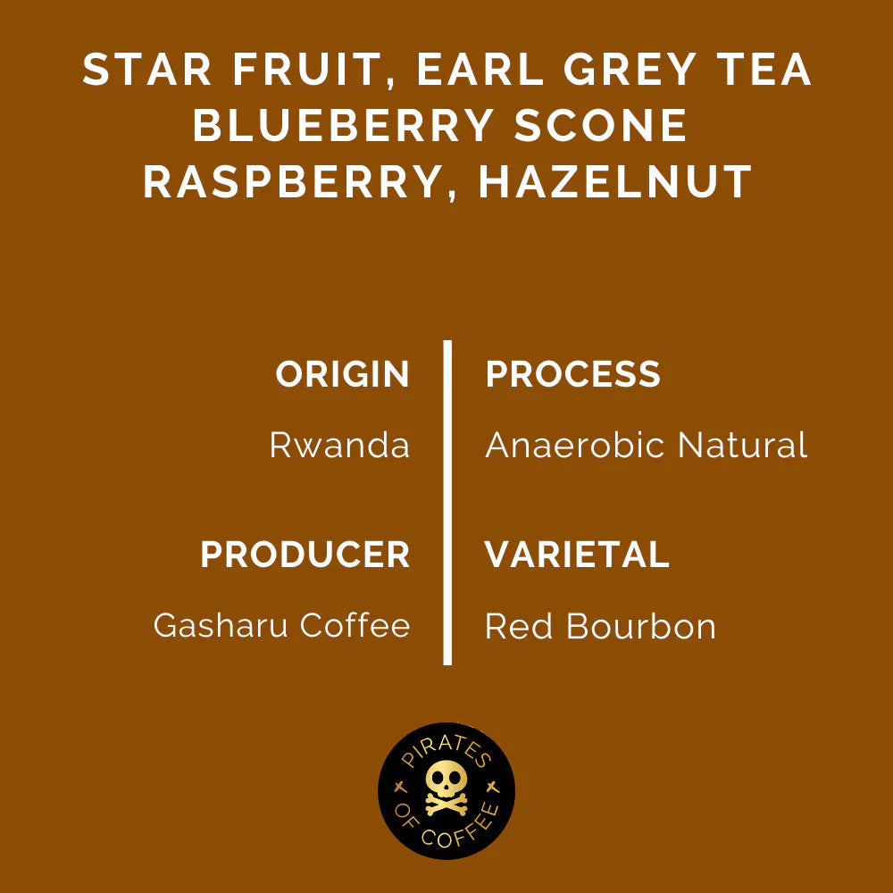 STARR BERRY: RWANDA ANAEROBIC NATURAL| pirates of coffee