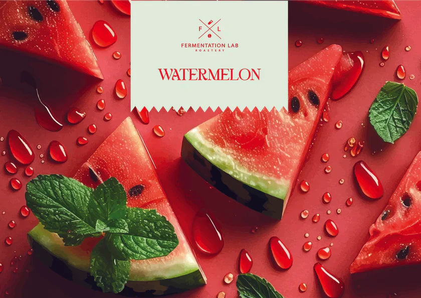 Colombia WATERMELON |Fermentation Lab Roastery 200g