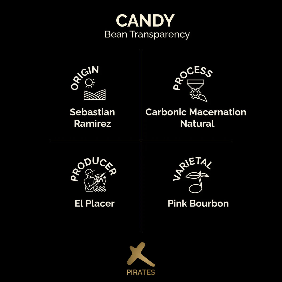 CANDY: COLOMBIA CARBONIC MACERATION NATURAL | pirates of coffee