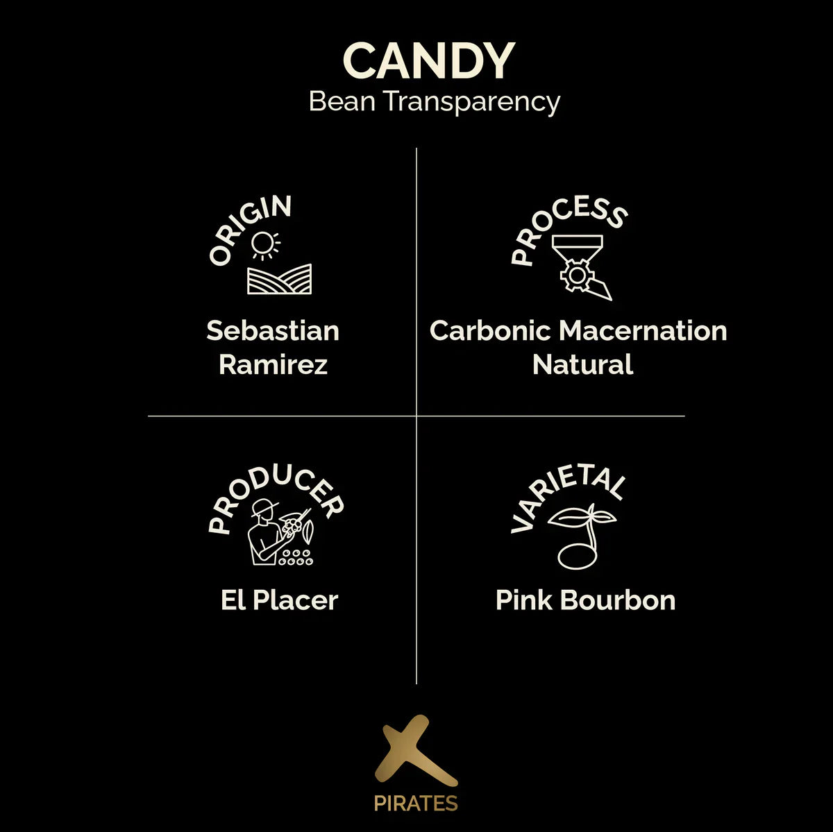 CANDY: COLOMBIA CARBONIC MACERATION NATURAL | pirates of coffee