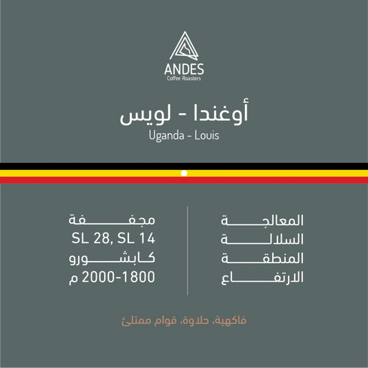 Uganda- Louis | Andes Roastery