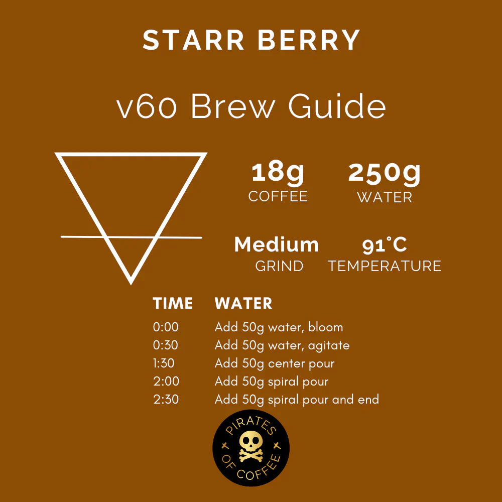 STARR BERRY: RWANDA ANAEROBIC NATURAL| pirates of coffee