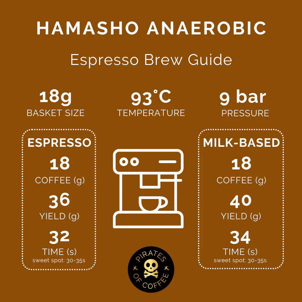 DAYE BENSA HAMASHO ANAEROBIC ESPRESSO: ETHIOPIA ANAEROBIC NATURAL | pirates of coffee