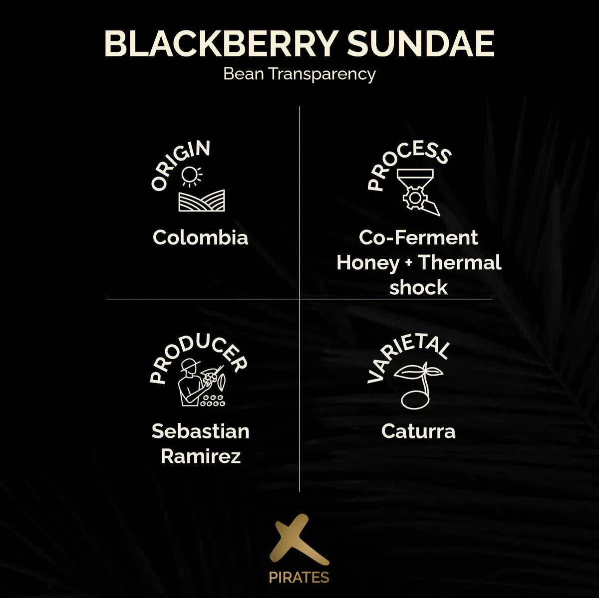 BLACKBERRY SUNDAE: COLOMBIA CO-FERMENT HONEY + THERMAL SHOCK | pirates of coffee