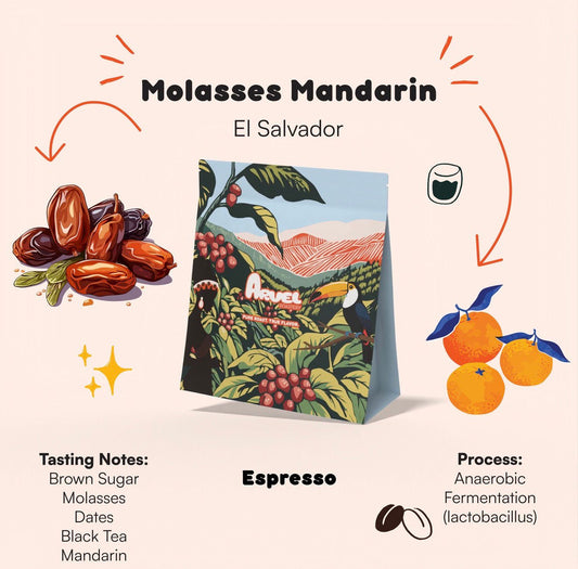 Molasses Mandarin | Arvel Roastery