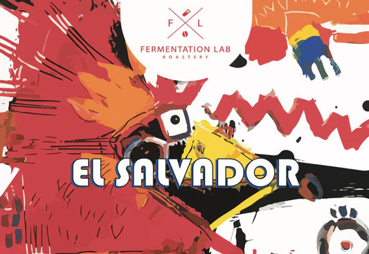 EL SALVADOR Fermentation Lab Roastery espresso