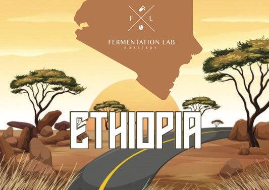 Guji -Filter Fermentation Lab Roastery