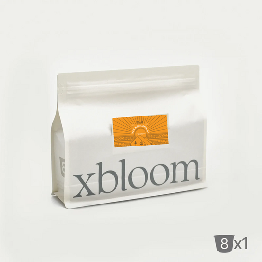 (8 xPods) - xbloom -Ethiopia Guji Hambela| neighbourhood Roastery