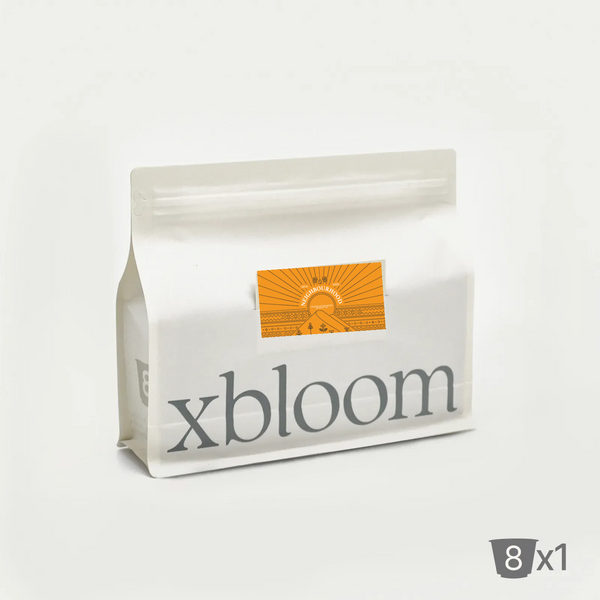 (8 أكواب) - xbloom - إثيوبيا غوجي هامبيلا | محمصة حي