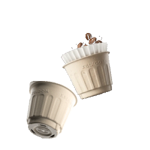 (8 xPods) - xbloom -Black smith Roastry-Colombia Wilton Benitez Papaya Melon
